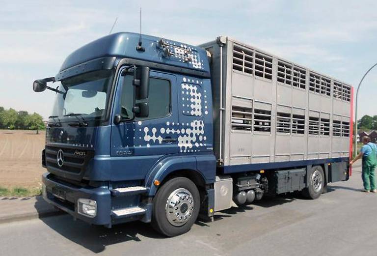 Нанять скотовоз для крупного рогатого скота из Ростова-на-Дону в Ростовскую область